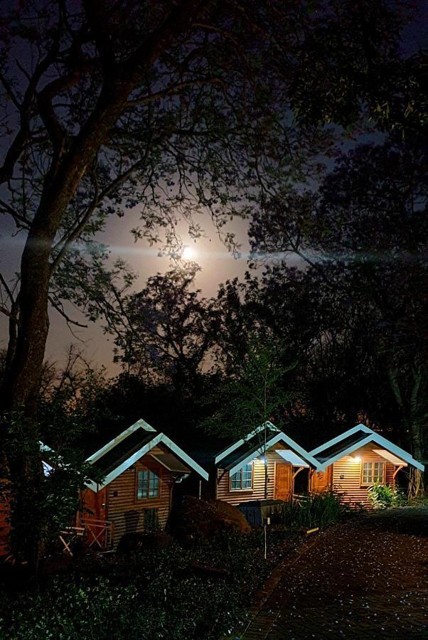 Bed and Breakfast Haggards On Hilldrop Newcastle Exterior foto