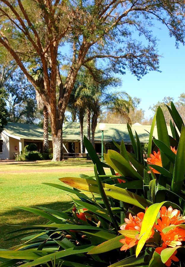 Bed and Breakfast Haggards On Hilldrop Newcastle Exterior foto